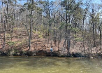 Lot 20 Coosa Run Waterfront View