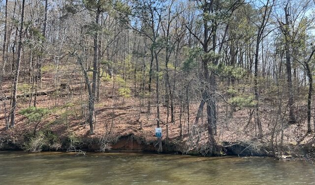 Lot 20 Coosa Run Waterfront View