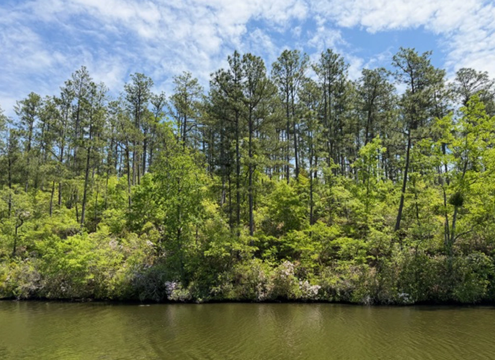 LOTS Walnut Creek Featured